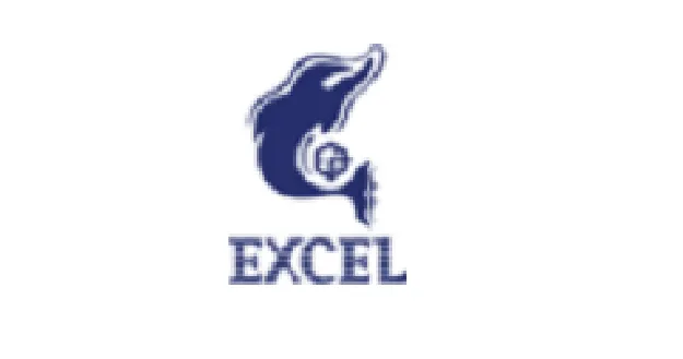 EXCEL