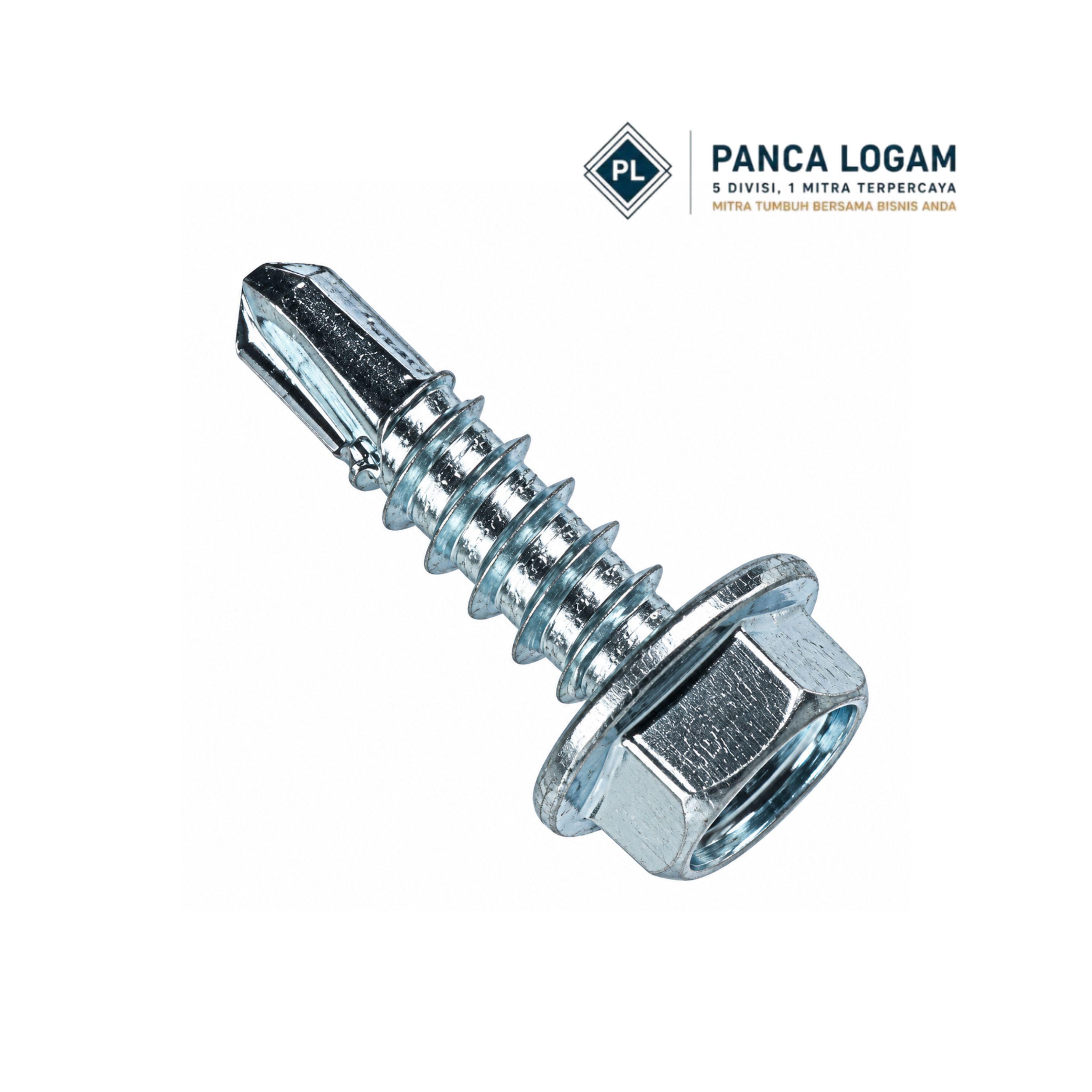 Jual Panca Logam Sekrup Roofing / Baja Ringan Hex Washer Head - Ukuran 10x19 mm