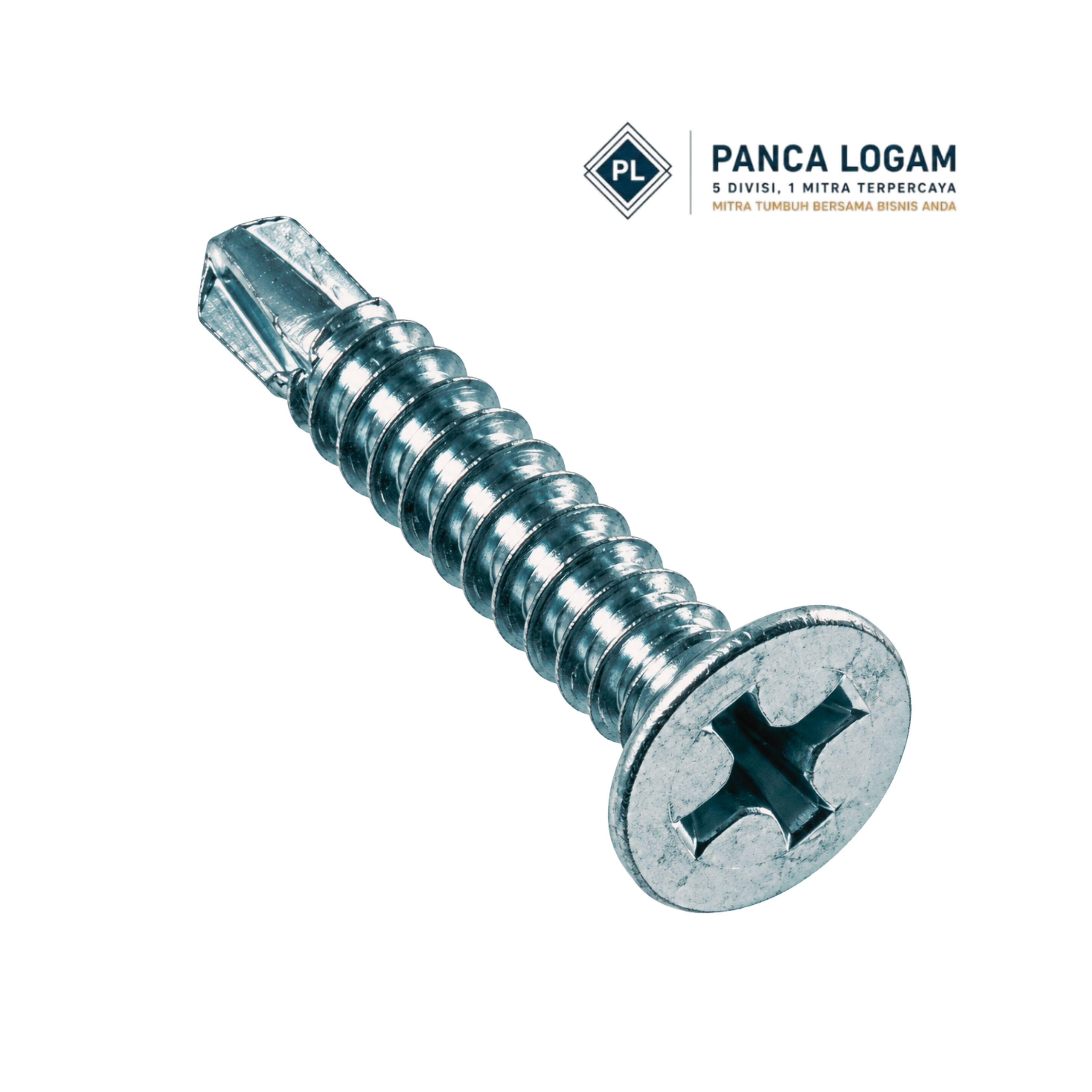 Jual Panca Logam Sekrup Self Drilling Flat Head (CSK)