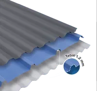 Jual Atap uPVC Rooftuff SL Roma Panjang 3 m - Grey-1