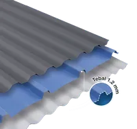 Jual Atap uPVC Rooftuff SL Roma Panjang 6 m - Blue-1