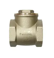 Jual Check Valve Perruno 1/2