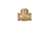 Jual Check Valve Yuta 2