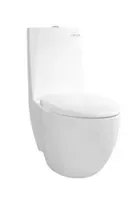 Jual Kloset Duduk TOTO CW811NPJ/SW811NJP (S-Trap)-1