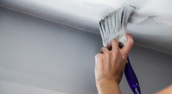 plamir tembok yang bagus