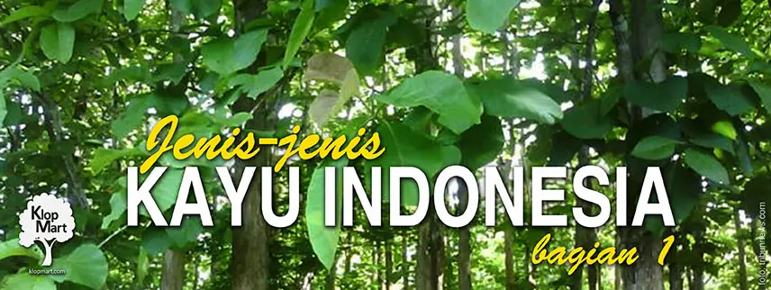 jenis jenis kayu indonesia bagian 1