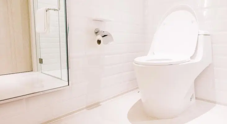 Jenis Kloset Leher Angsa