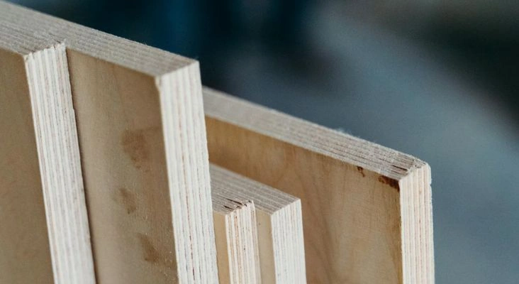 jenis-jenis multipleks dan kegunaannya