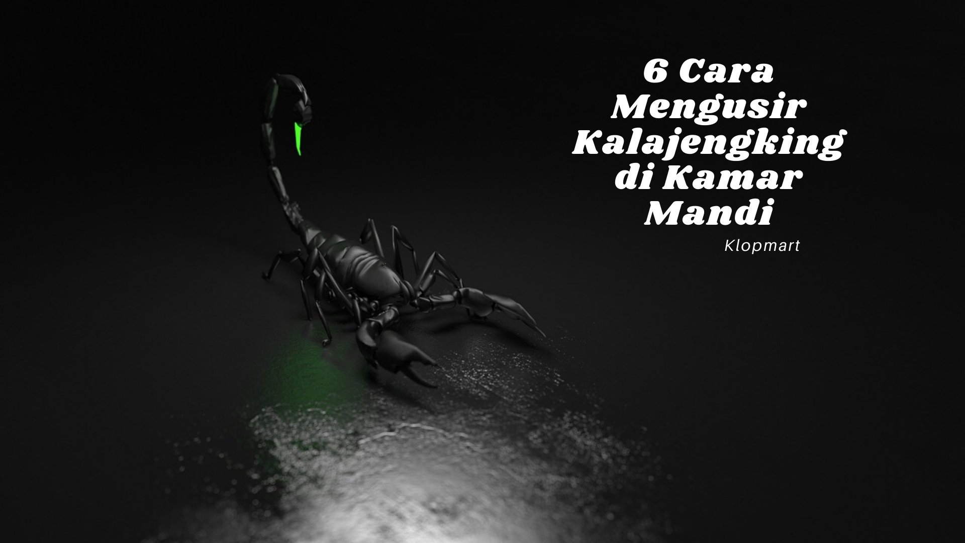 cara mengusir kalajengking di kamar mandi