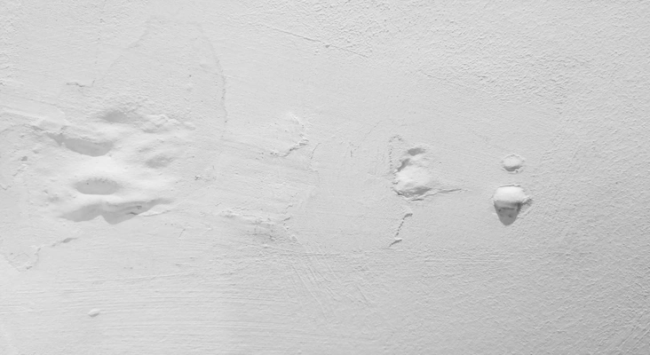 8 Penyebab Cat Dinding Menggelembung dan Cara Mengatasinya!