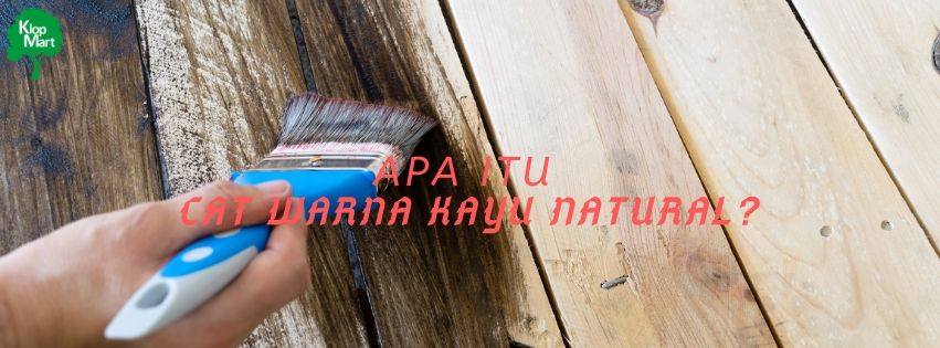 Apa Itu Cat Warna Kayu Natural?