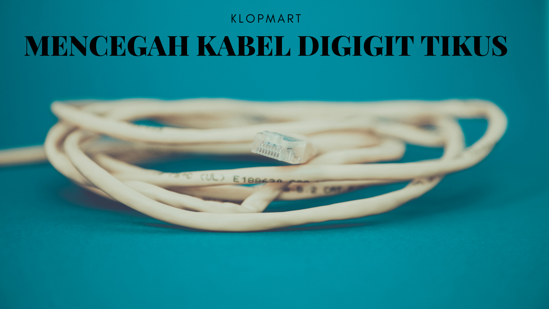 cara mencegah kabel digigit tikus
