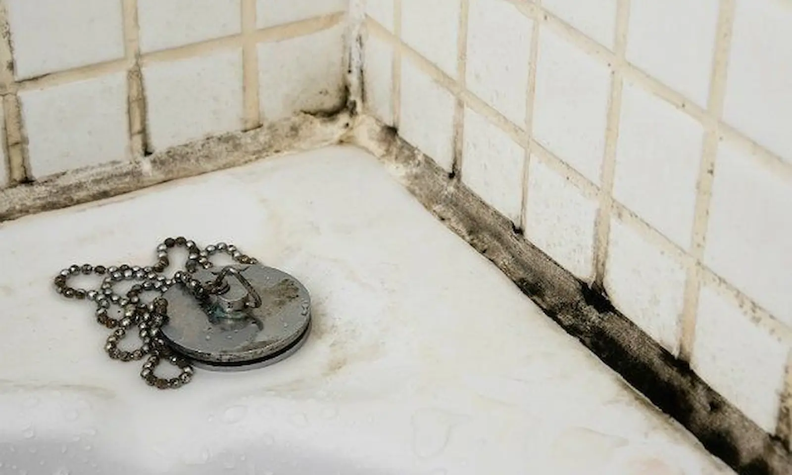 cara menangani bercak dan lendir merah jambu di kamar mandi