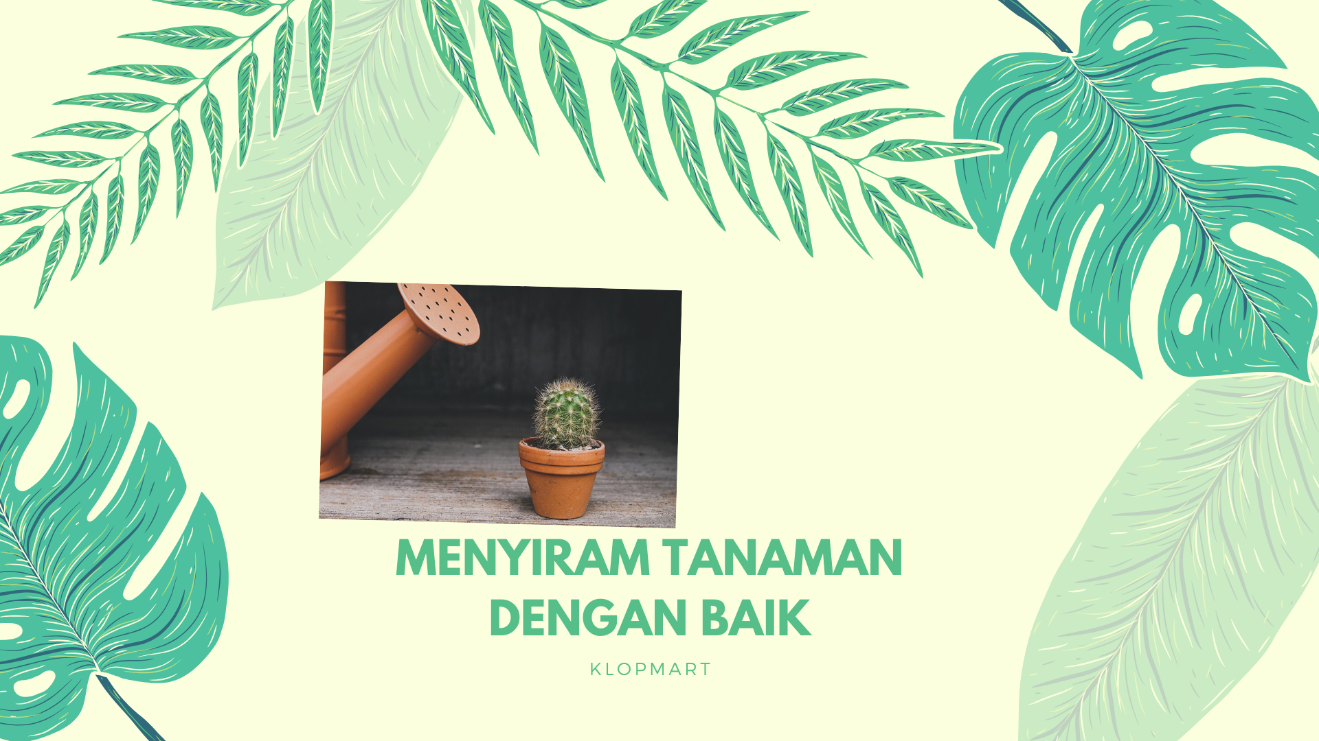 Cara Menyiram Tanaman Dengan Baik dan Benar
